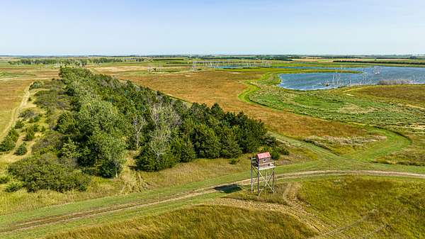 650 Acres of Land for Sale in Armour, South Dakota
