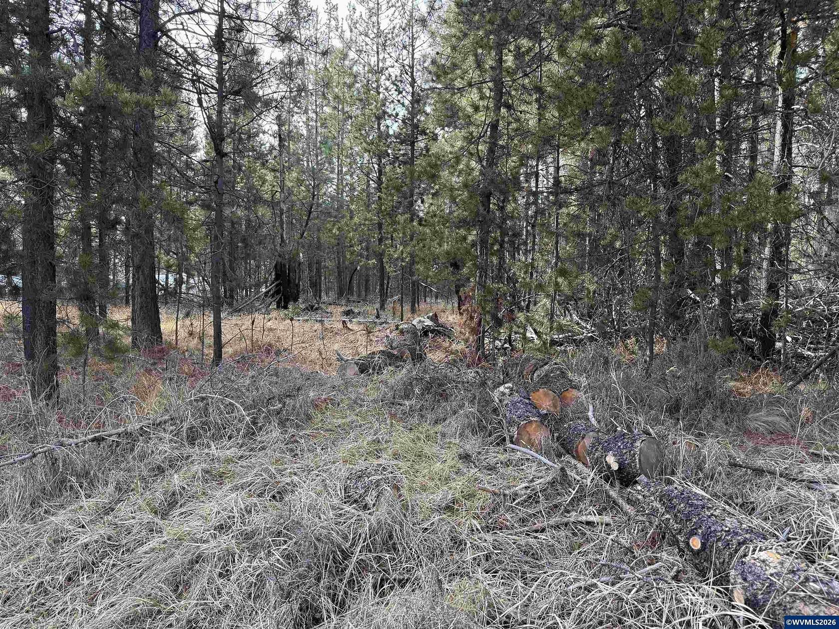 0.51 Acres of Land for Sale in La Pine, Oregon