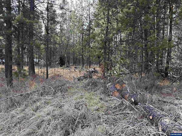 0.51 Acres of Land for Sale in La Pine, Oregon
