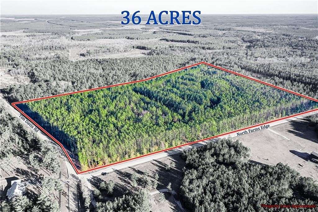 36 Acres of Land for Sale in Manor, Georgia