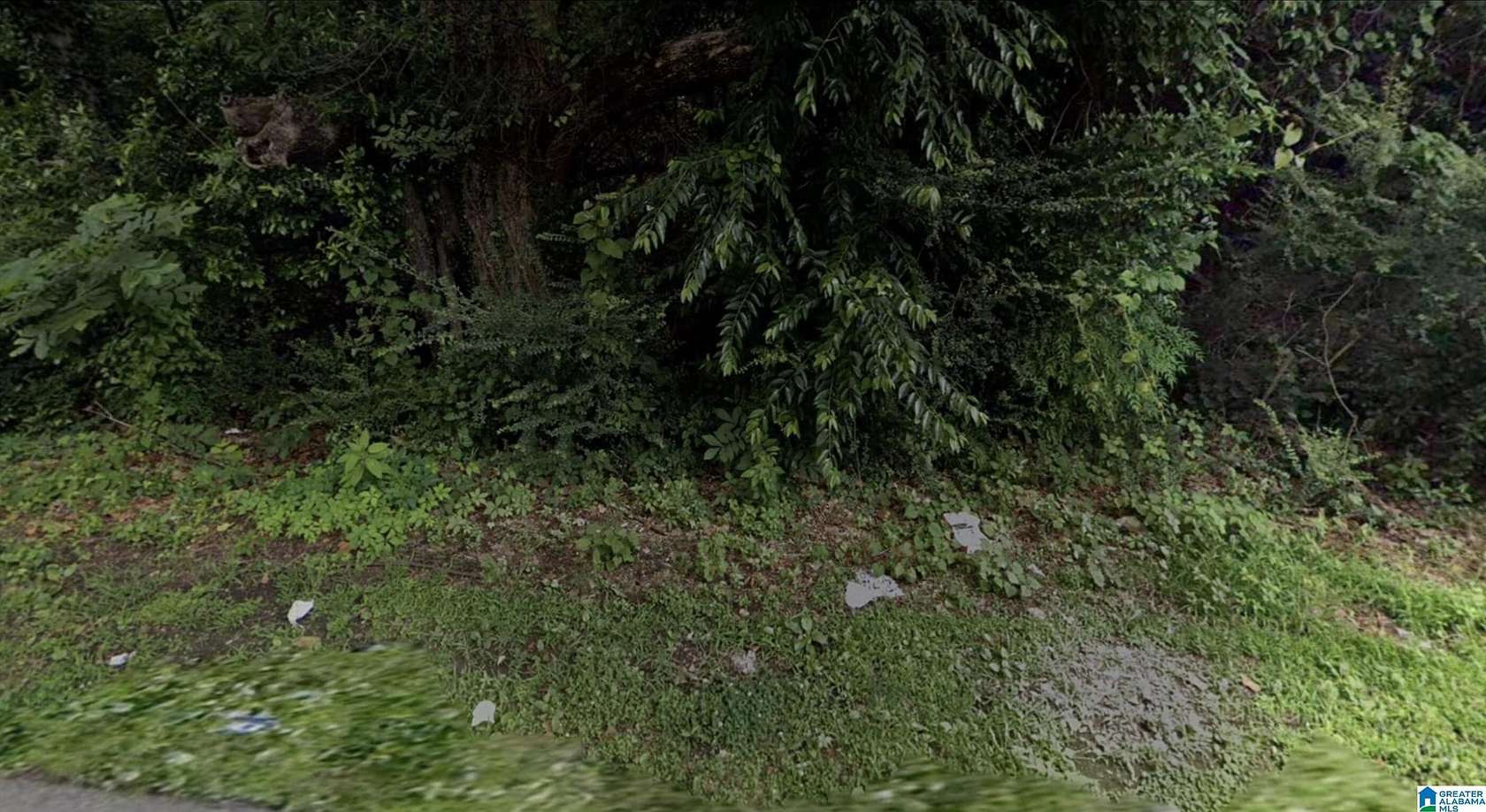 3 Acres of Residential Land for Sale in Bessemer, Alabama