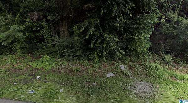 3 Acres of Residential Land for Sale in Bessemer, Alabama
