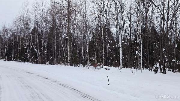 1.53 Acres of Residential Land for Sale in White Pine, Michigan