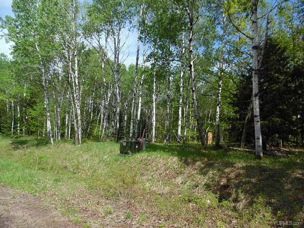 1.53 Acres of Residential Land for Sale in White Pine, Michigan
