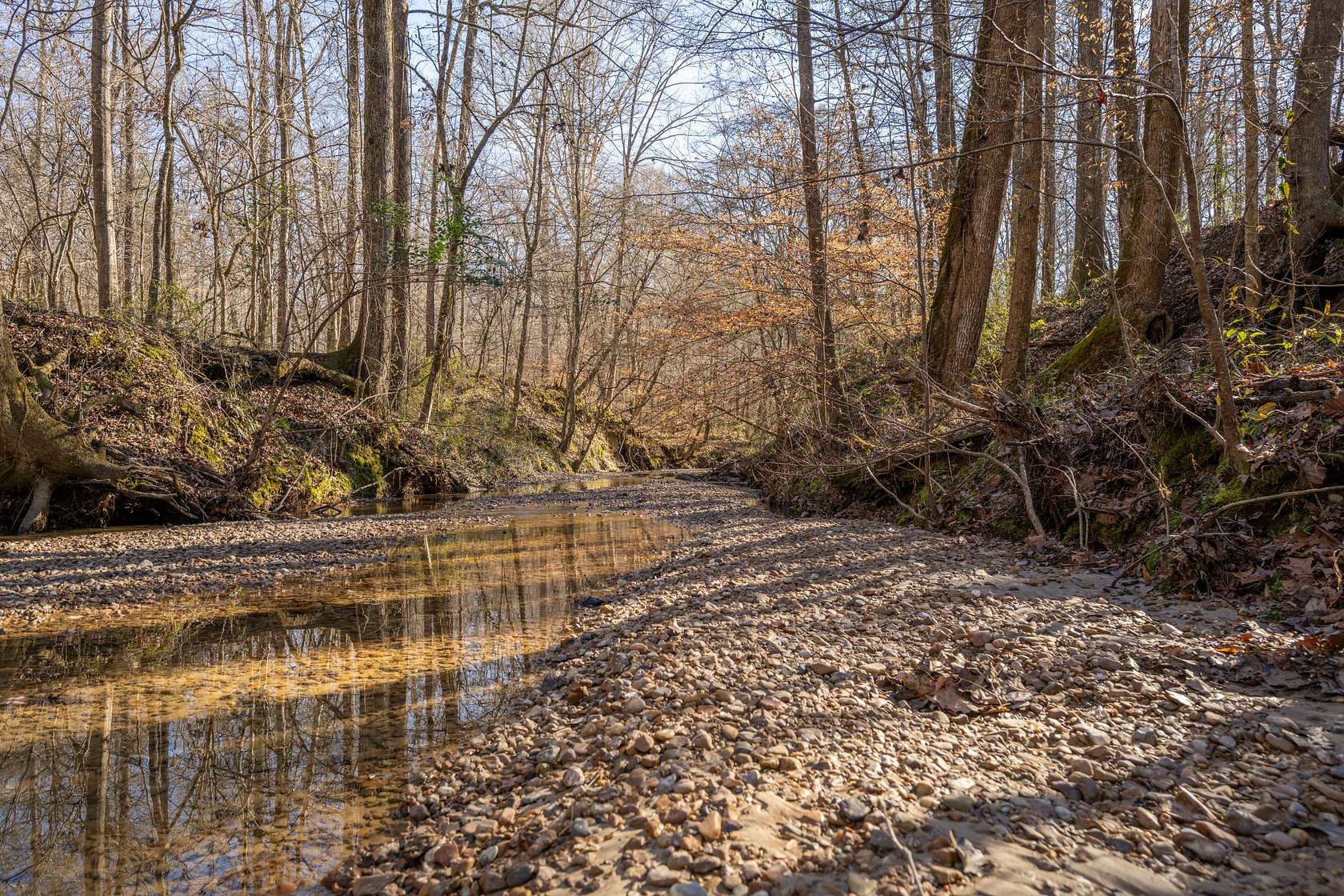 453 Acres of Recreational Land & Farm for Sale in Lorman, Mississippi