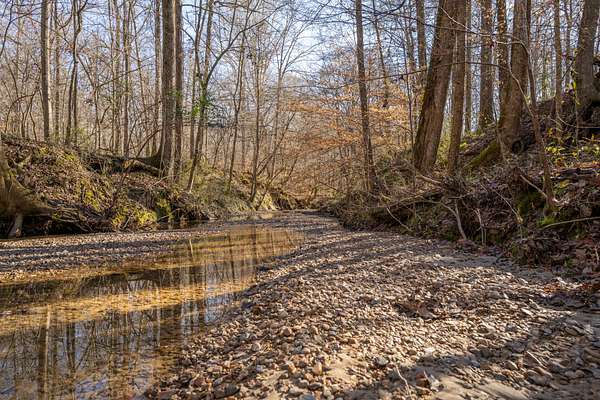 453 Acres of Recreational Land & Farm for Sale in Lorman, Mississippi