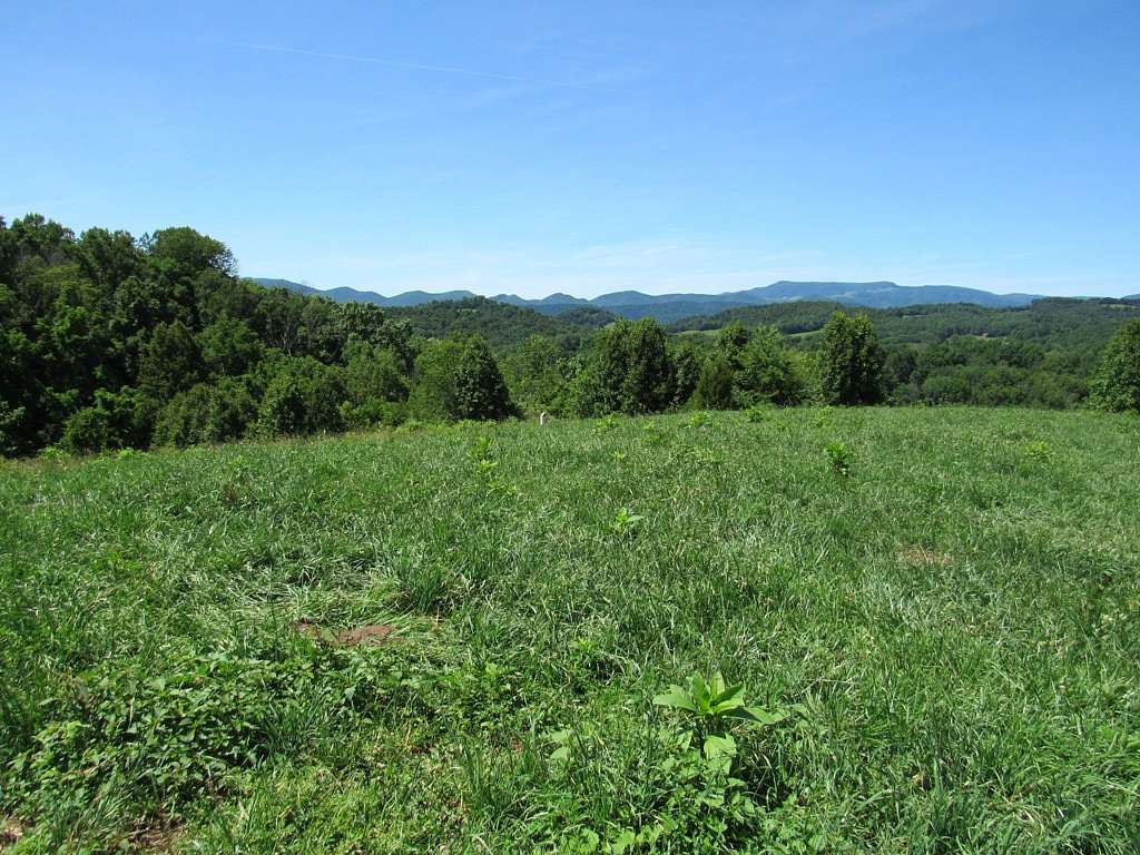 1 Acre of Residential Land for Sale in Meadowview, Virginia