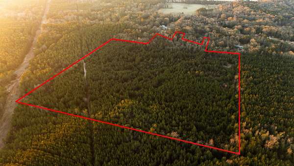 45 Acres of Recreational Land for Sale in Sanford, Mississippi