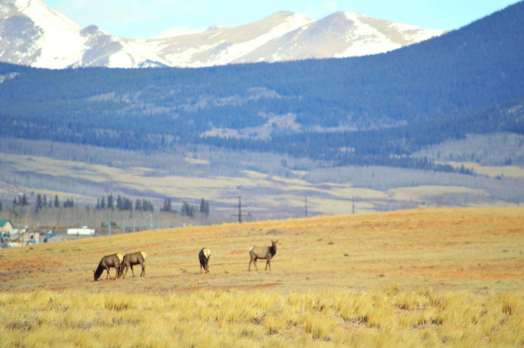 35 Acres of Land for Sale in Fairplay, Colorado