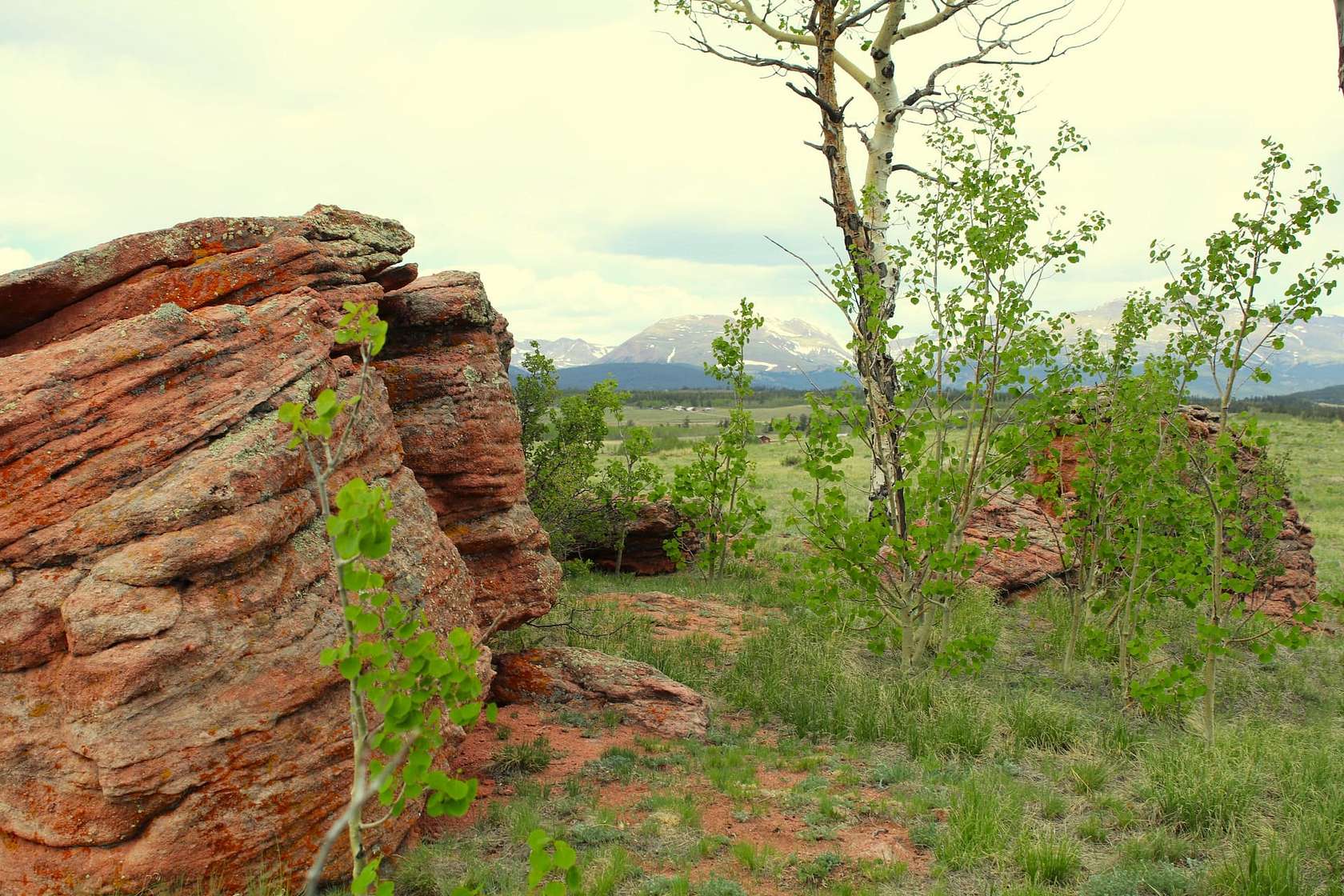 35 Acres of Land for Sale in Fairplay, Colorado
