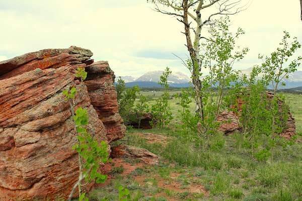 35 Acres of Land for Sale in Fairplay, Colorado