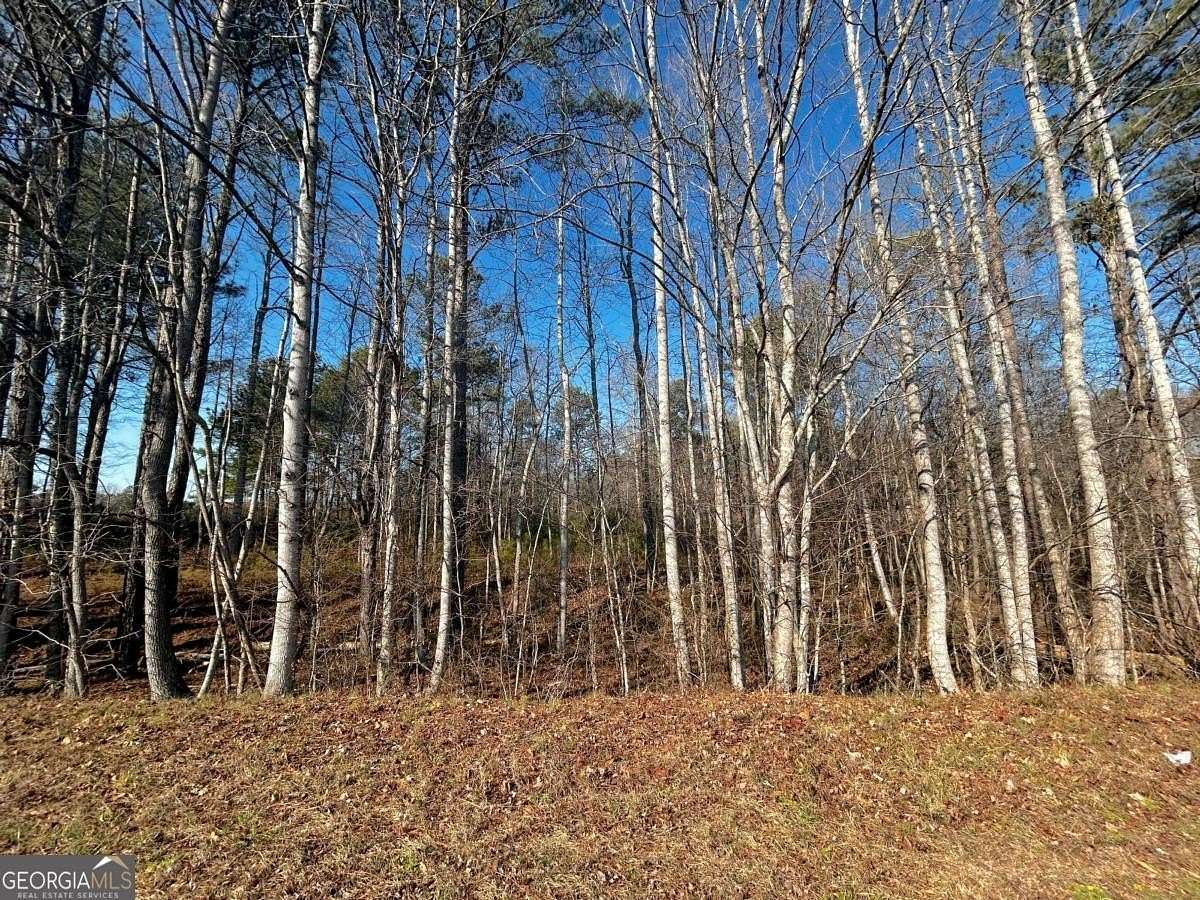 3 Acres of Residential Land for Sale in Villa Rica, Georgia