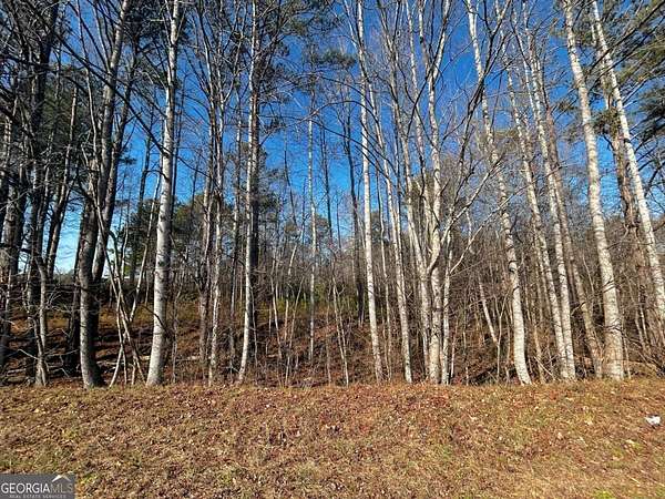 3 Acres of Residential Land for Sale in Villa Rica, Georgia