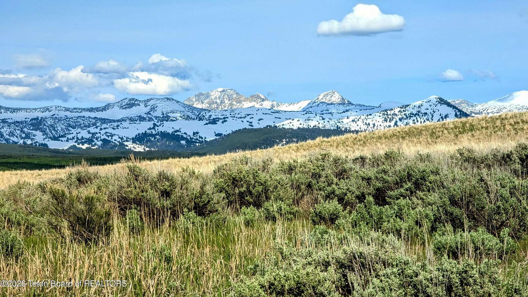 24.3 Acres of Recreational & Residential Land for Sale in Tetonia, Idaho