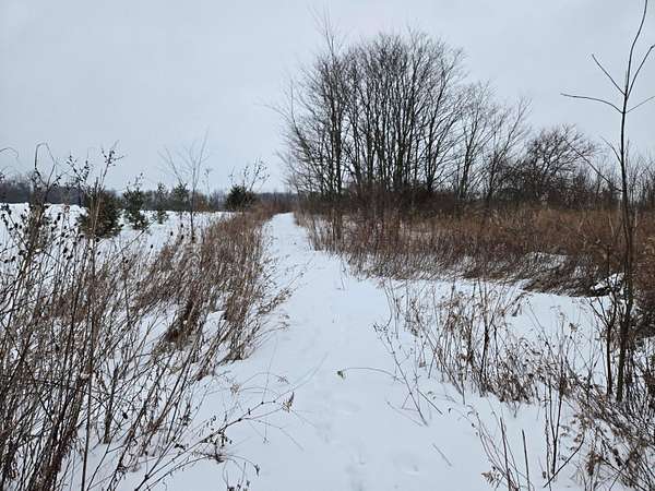 3 Acres of Residential Land for Sale in Centerburg, Ohio