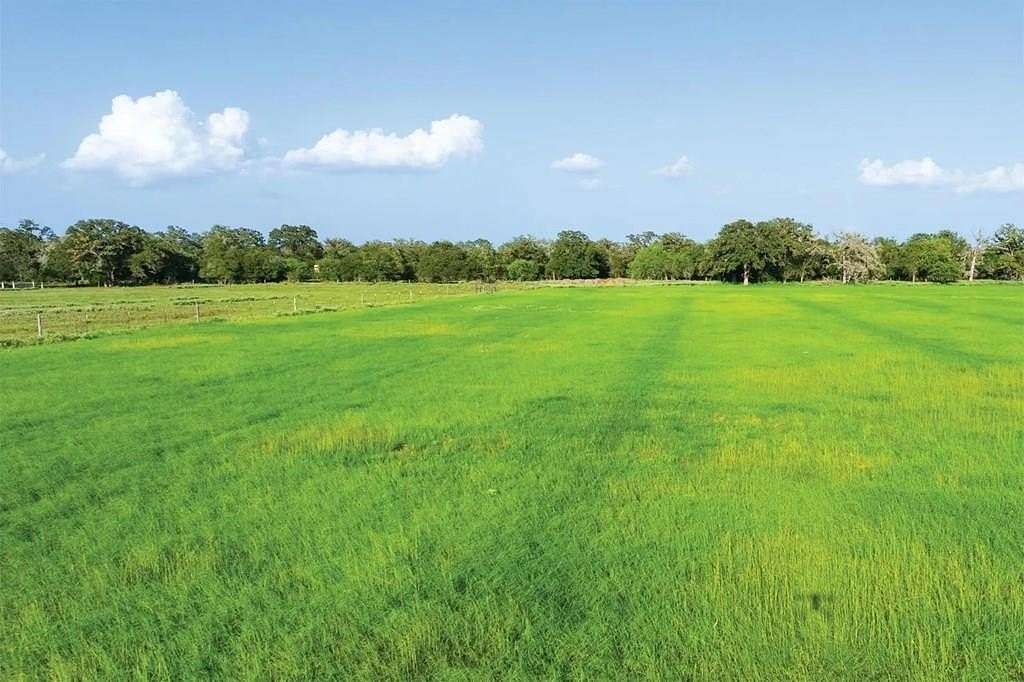 15.6 Acres of Land for Sale in Seguin, Texas