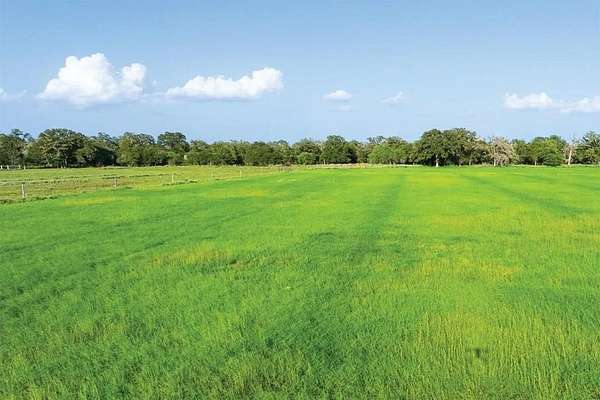 15.6 Acres of Land for Sale in Seguin, Texas