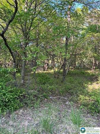 0.46 Acres of Residential Land for Sale in Penn Forest Township, Pennsylvania