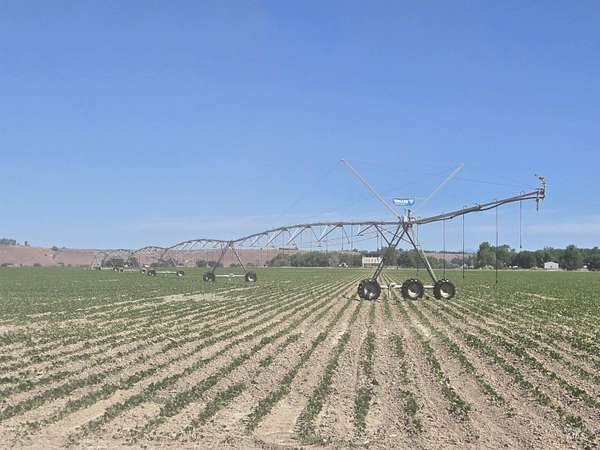 111 Acres of Agricultural Land for Sale in Ontario, Oregon