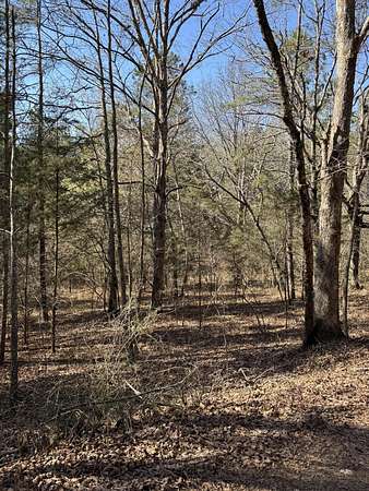 23.1 Acres of Recreational & Residential Land for Sale in Harrison, Tennessee
