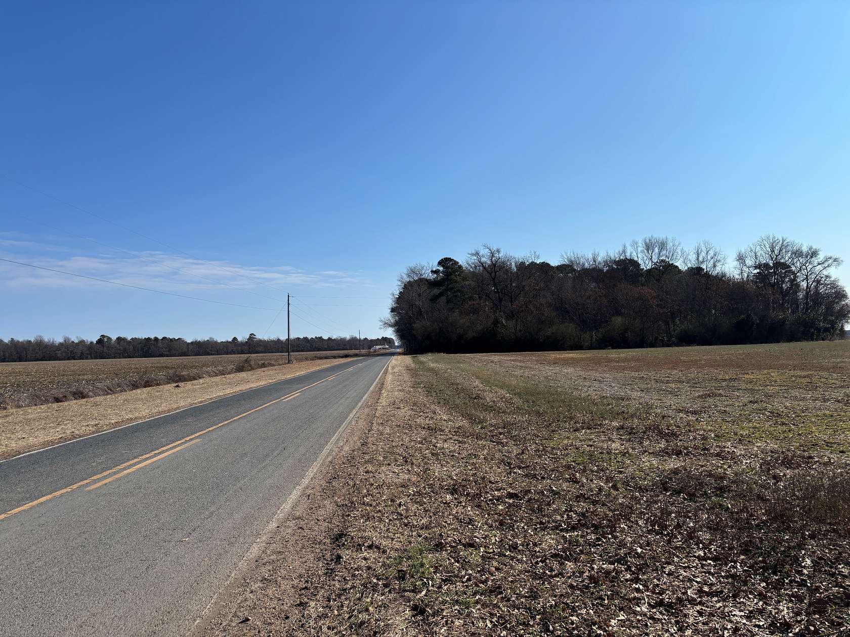 75 Acres of Land for Sale in Wagram, North Carolina