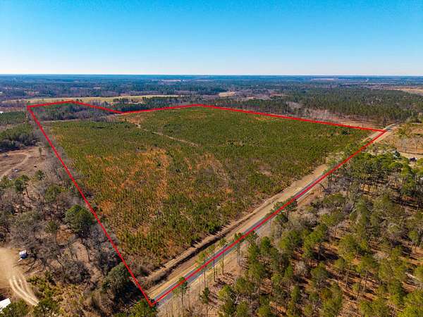 82 Acres of Land for Sale in Cobbtown, Georgia