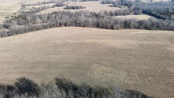 40 Acres of Agricultural & Residential Land for Sale in Morrisville, Missouri