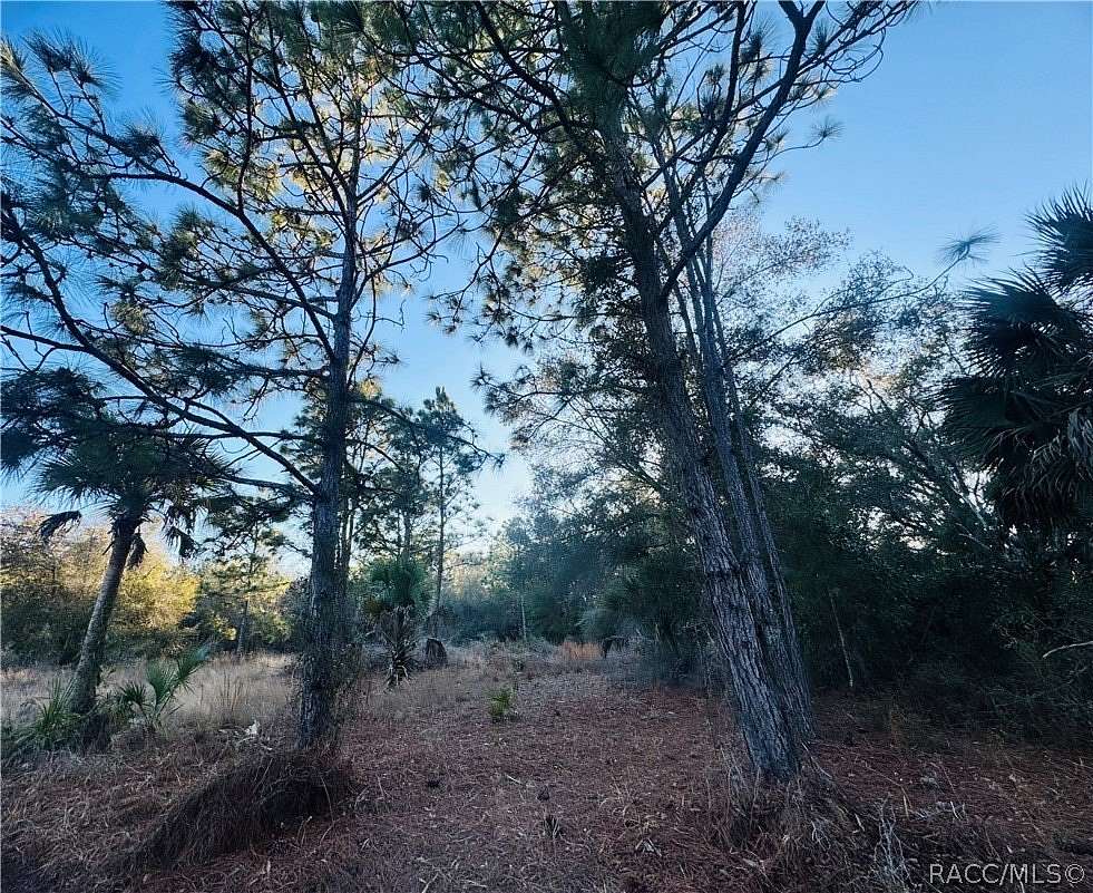 1.16 Acres of Residential Land for Sale in Crystal River, Florida