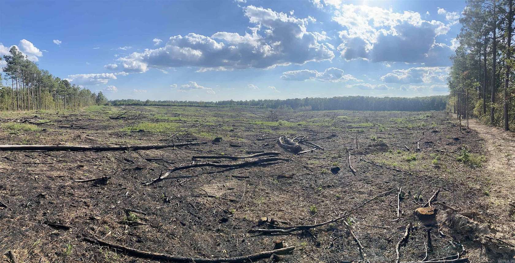 40 Acres of Recreational & Residential Land for Sale in Star City, Arkansas
