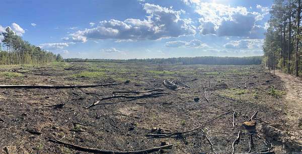 40 Acres of Recreational & Residential Land for Sale in Star City, Arkansas