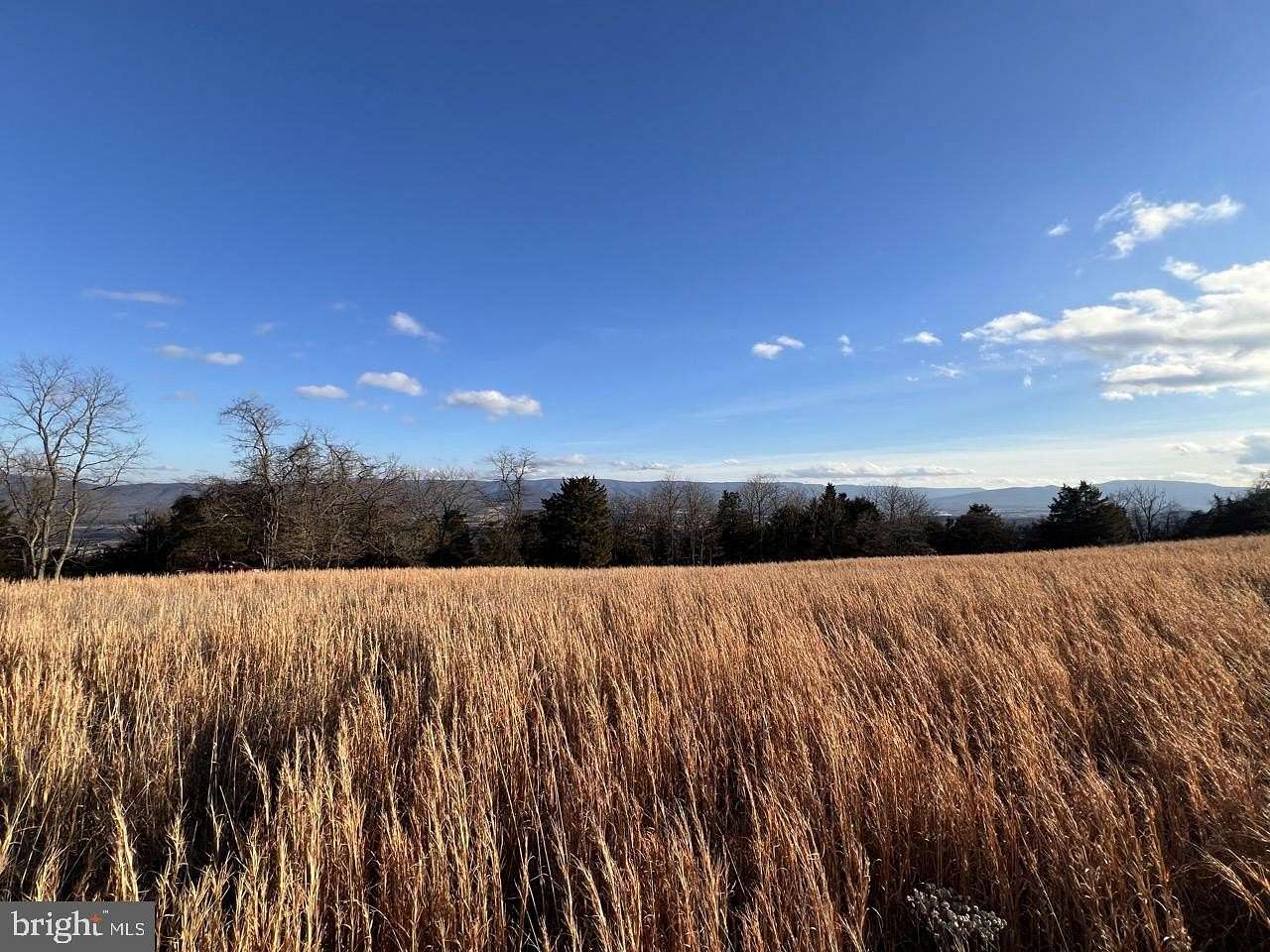 38.4 Acres of Land for Sale in Moorefield, West Virginia