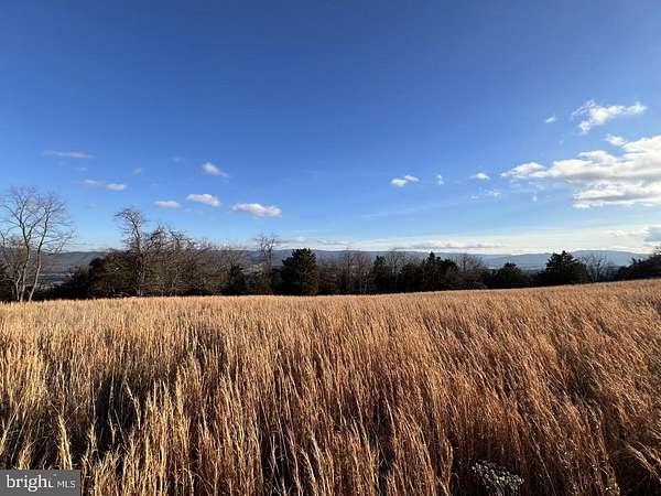 38.4 Acres of Land for Sale in Moorefield, West Virginia