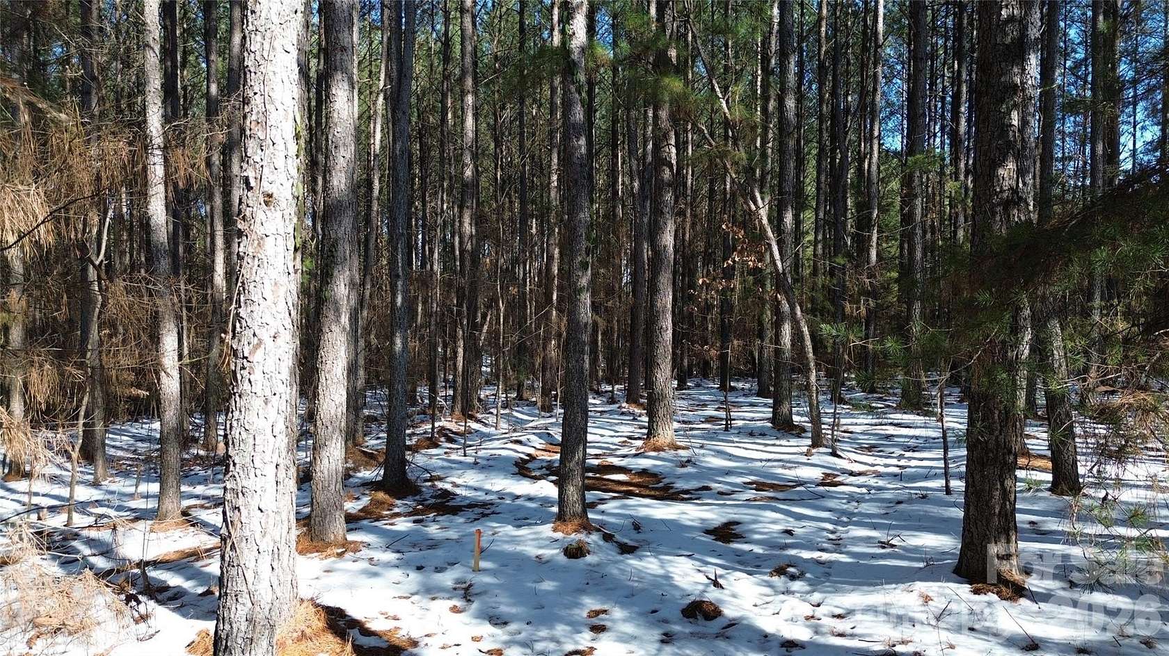 3.2 Acres of Residential Land for Sale in Lincolnton, North Carolina