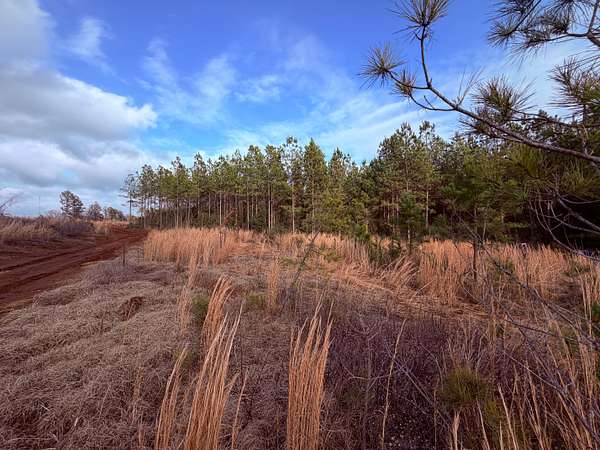 101 Acres of Recreational Land for Sale in Sparta, Georgia