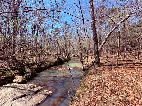 101 Acres of Recreational Land for Sale in Sparta, Georgia