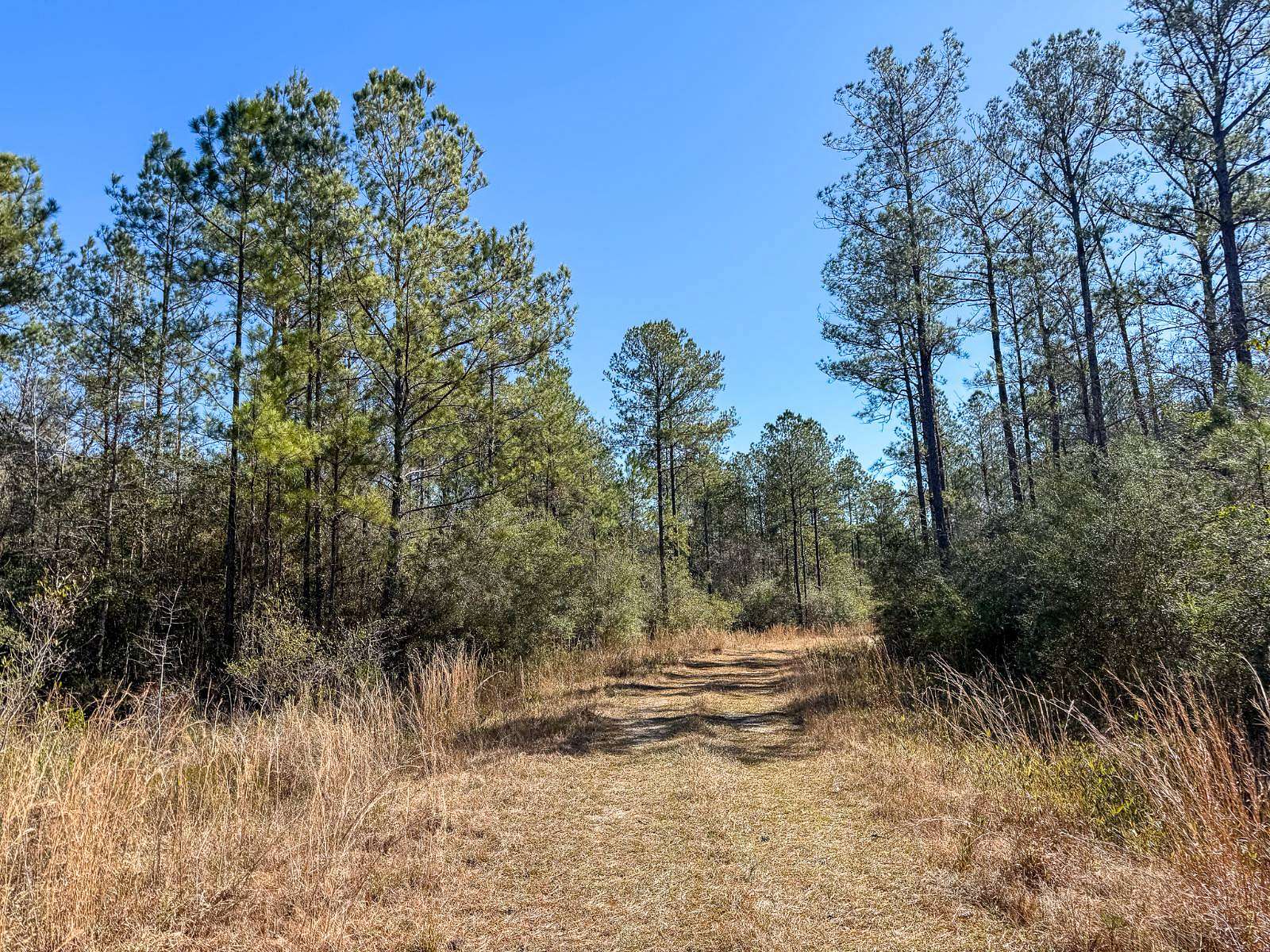 876 Acres of Land for Sale in Pass Christian, Mississippi