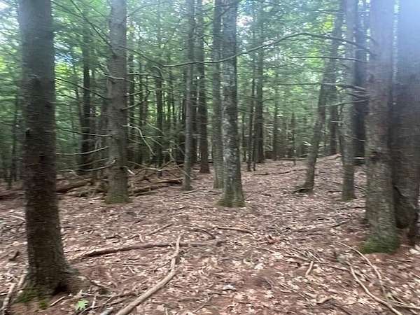 6.62 Acres of Residential Land for Sale in Buxton, Maine