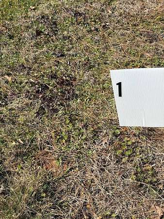 0.37 Acres of Residential Land for Sale in Many, Louisiana