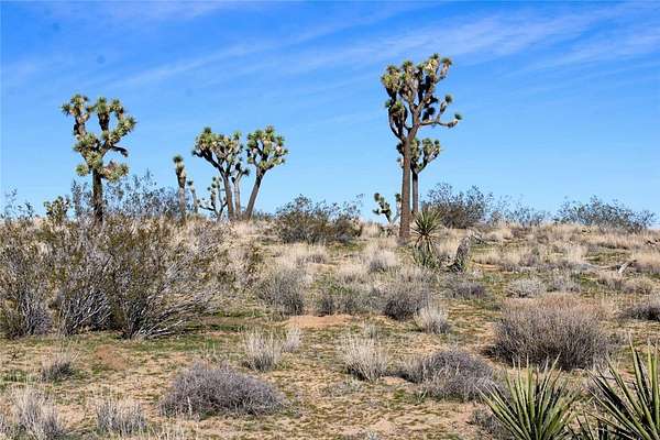 40 Acres of Recreational & Residential Land for Sale in Yucca Valley, California