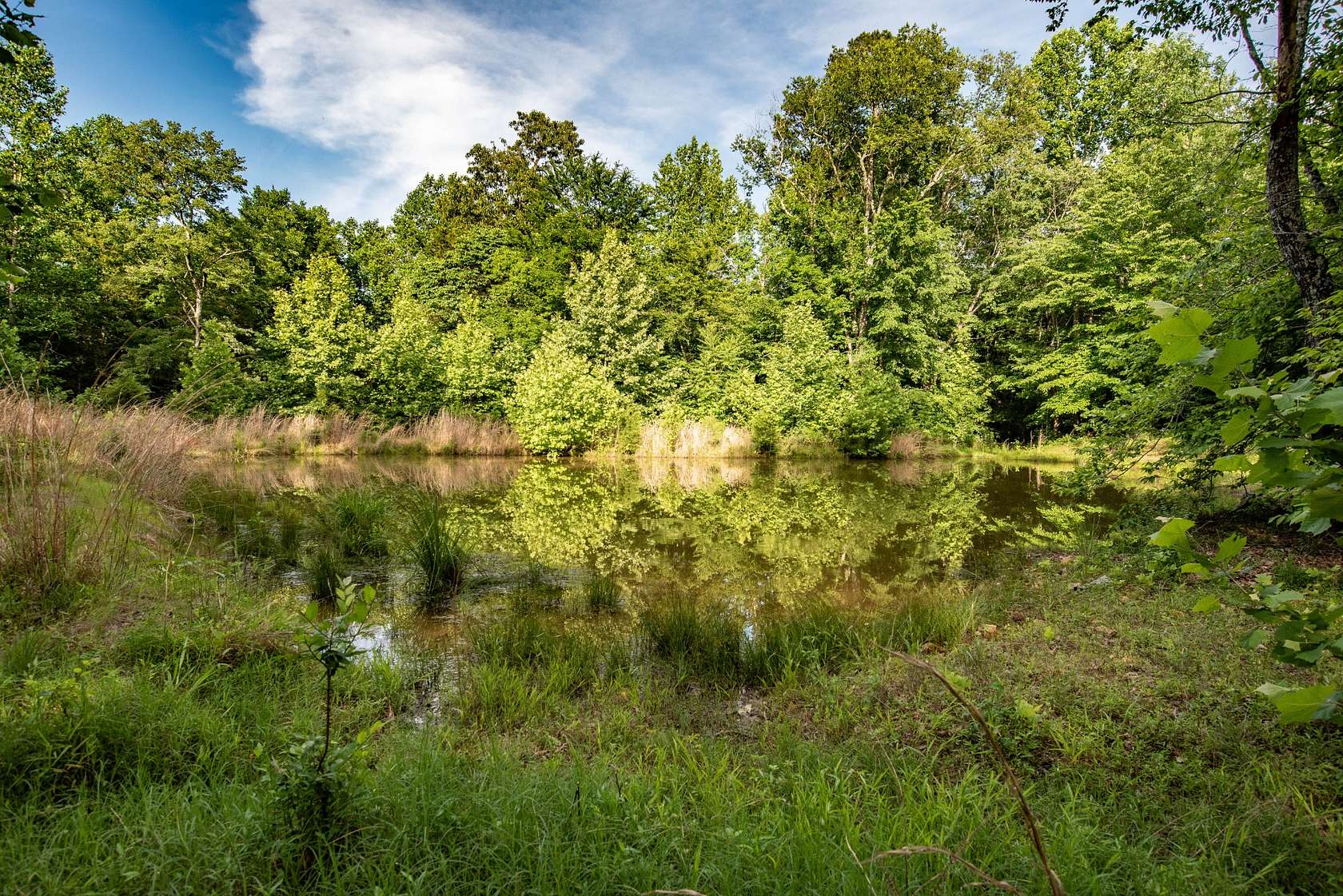 30.1 Acres of Land for Sale in Nunnelly, Tennessee