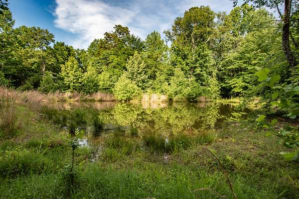 30.1 Acres of Land for Sale in Nunnelly, Tennessee