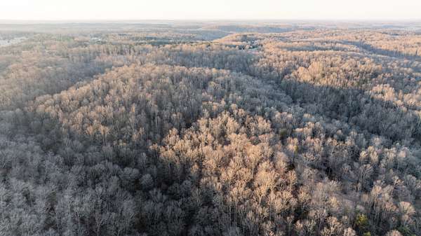 30.1 Acres of Land for Sale in Nunnelly, Tennessee