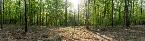 30.1 Acres of Land for Sale in Nunnelly, Tennessee
