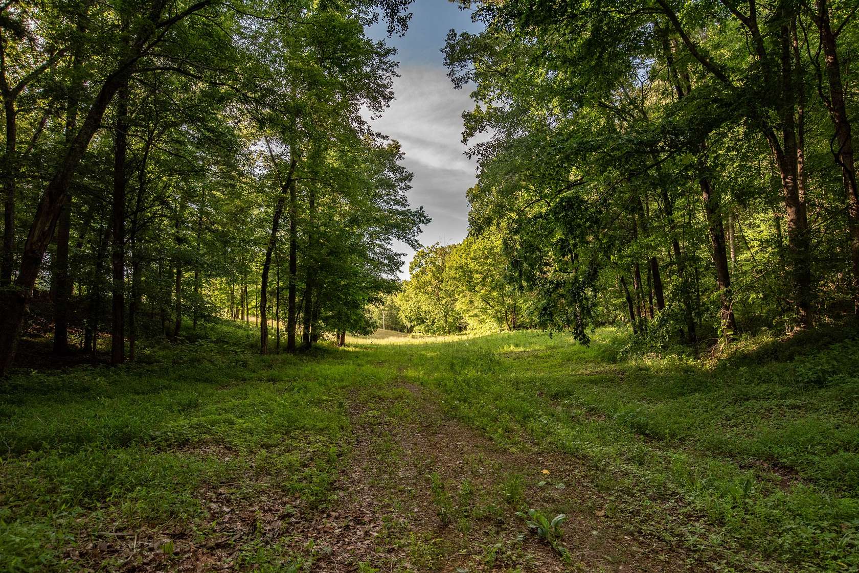 25 Acres of Land for Sale in Nunnelly, Tennessee