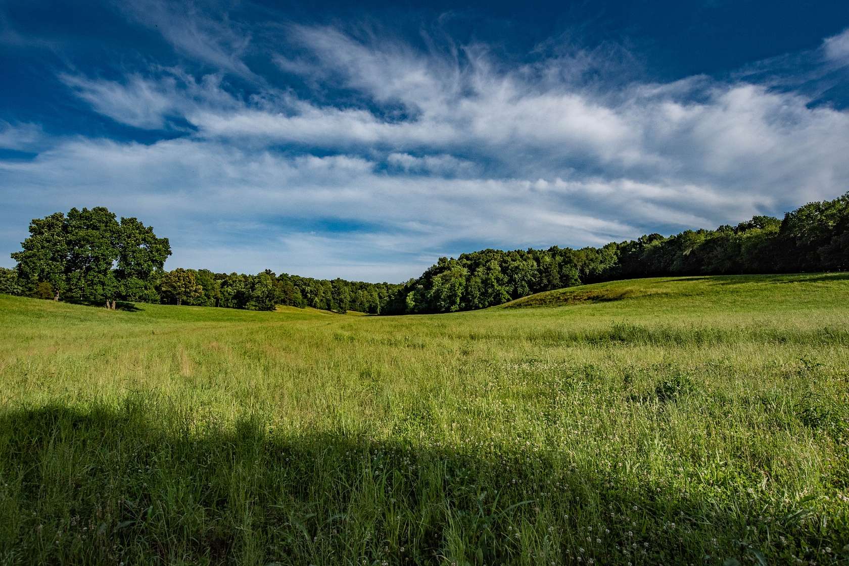 38.8 Acres of Land for Sale in Nunnelly, Tennessee