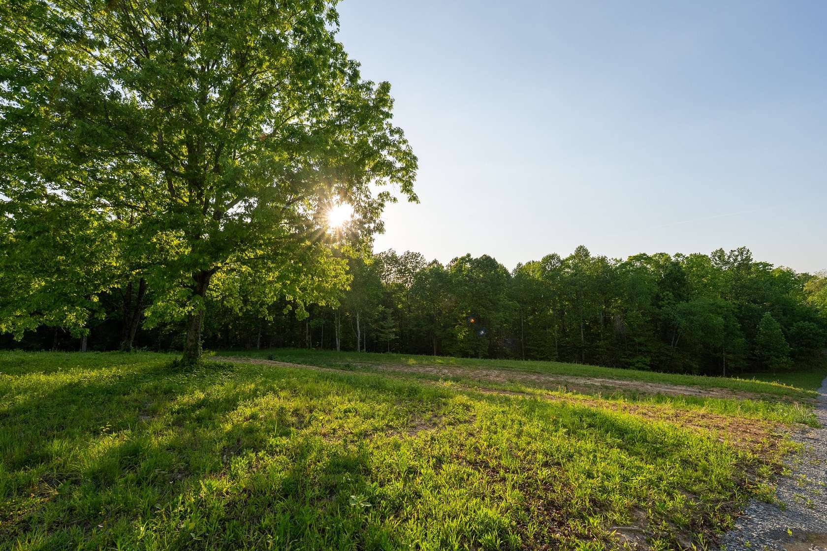 20.3 Acres of Land for Sale in Nunnelly, Tennessee