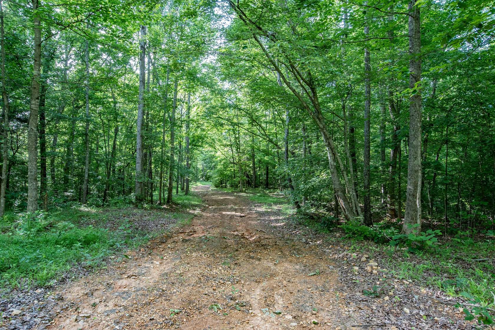 15 Acres of Land for Sale in Nunnelly, Tennessee