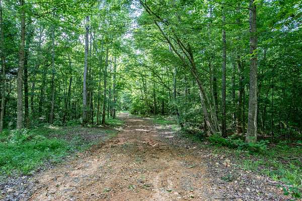 15 Acres of Land for Sale in Nunnelly, Tennessee