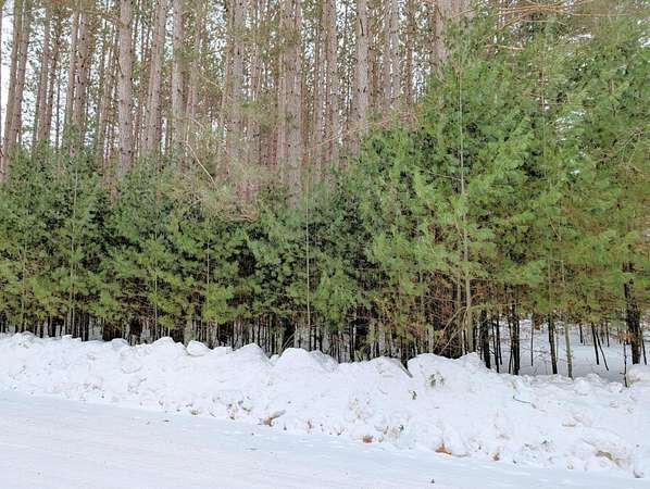 0.59 Acres of Residential Land for Sale in Minocqua, Wisconsin