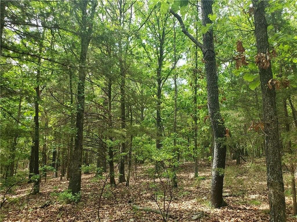 5 Acres of Residential Land for Sale in Elkins, Arkansas